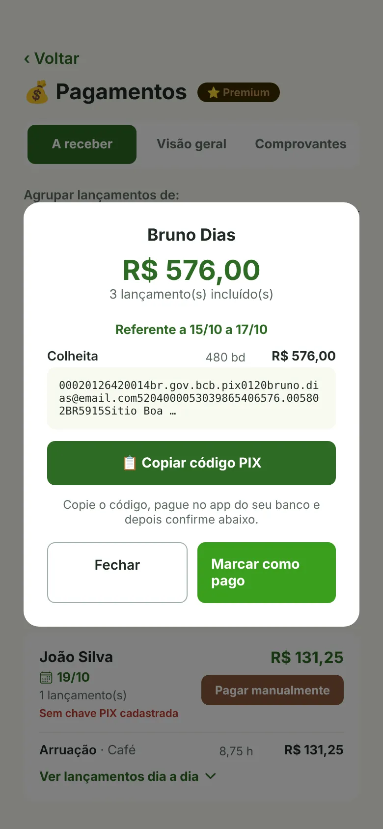 Código PIX gerado para pagar o trabalhador, com o período e os serviços incluídos